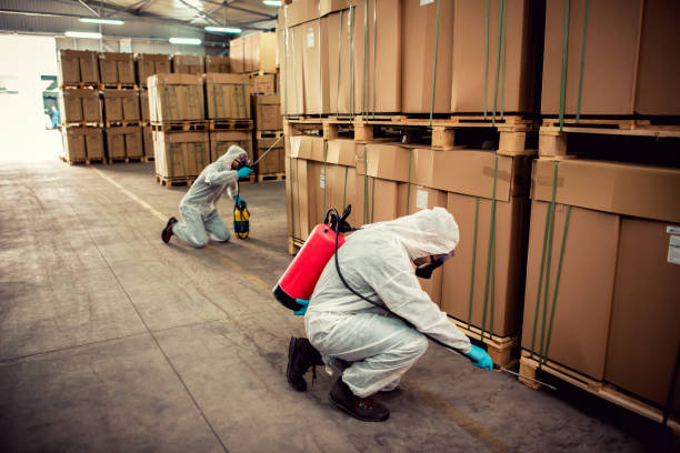 Best Affordable Pest Control Services  in Ladera Heights, CA