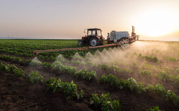 Best Mosquito Control Services  in Ladera Heights, CA